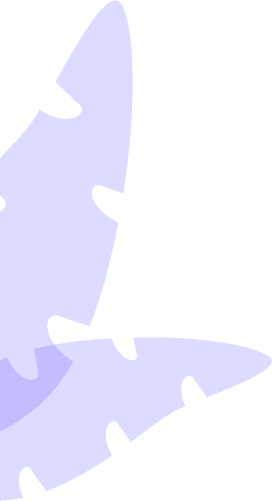b9529f5c lerf shape.png